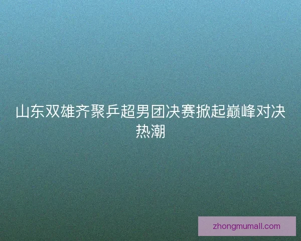 山东双雄齐聚乒超男团决赛掀起巅峰对决热潮