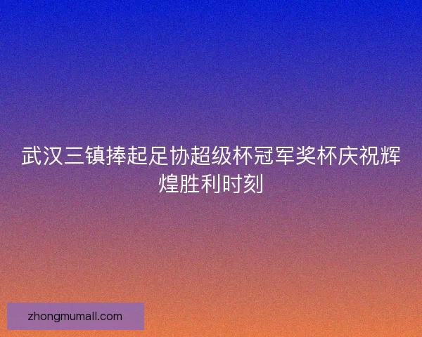 武汉三镇捧起足协超级杯冠军奖杯庆祝辉煌胜利时刻